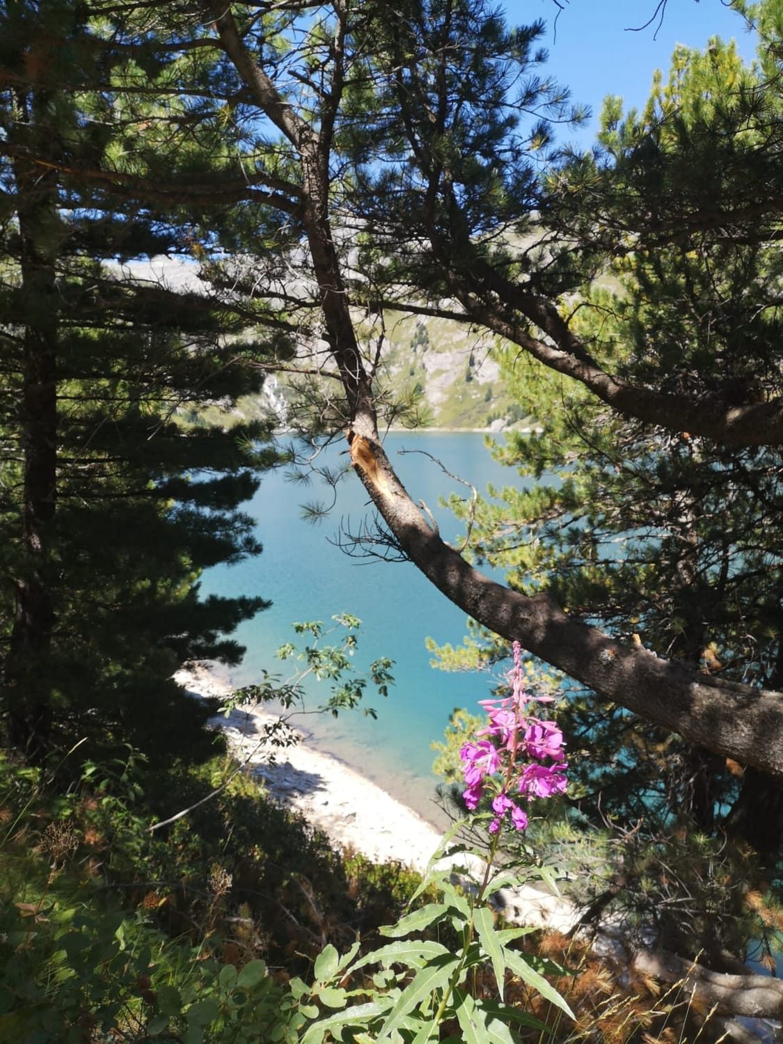 Séjour spirituel à la montagne — photo 5