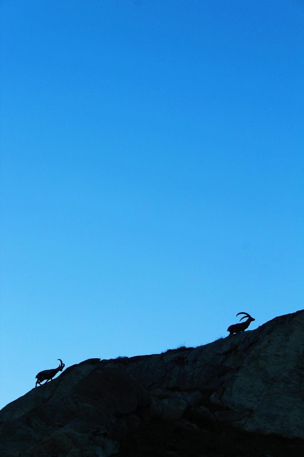 Séjour spirituel à la montagne — photo 6
